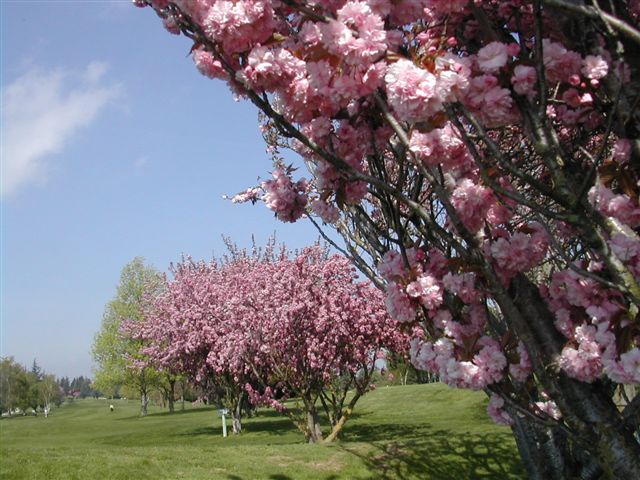 golf de lyon verger